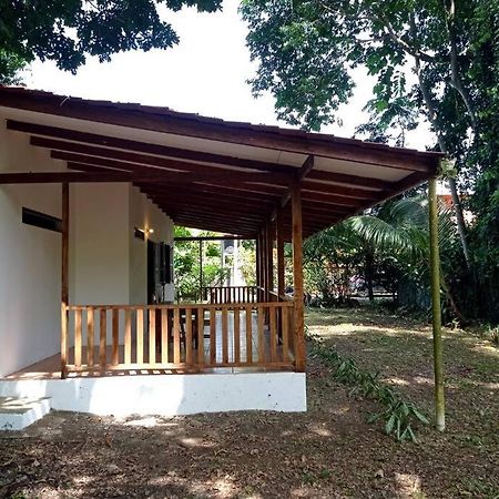 Green Papaya Villa Puerto Viejo de Talamanca Kültér fotó
