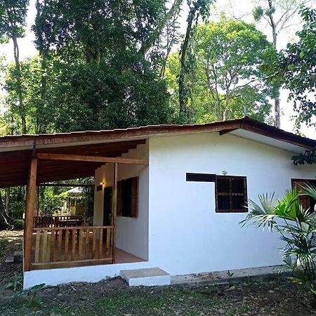 Green Papaya Villa Puerto Viejo de Talamanca Kültér fotó