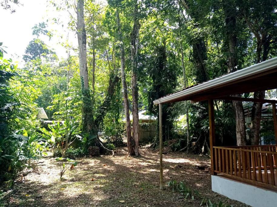 Green Papaya Villa Puerto Viejo de Talamanca Kültér fotó