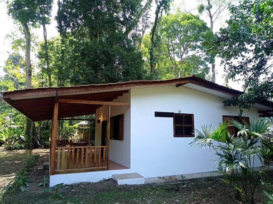 Green Papaya Villa Puerto Viejo de Talamanca Kültér fotó