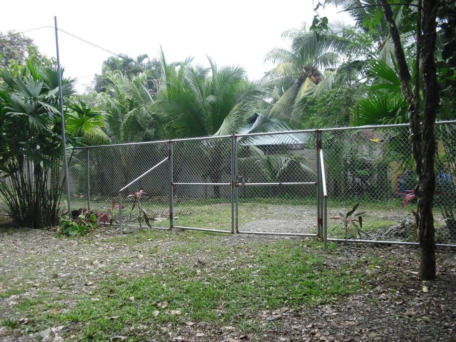 Green Papaya Villa Puerto Viejo de Talamanca Kültér fotó