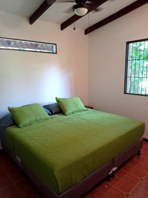 Green Papaya Villa Puerto Viejo de Talamanca Kültér fotó